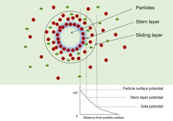 Diagram of Zeta Potential